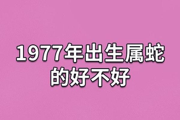 2016年属蛇的命运与生活指南：解读运势与性格特点