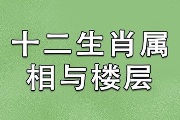 大海水命的生肖缺失：探寻水命与生肖的奇妙联系