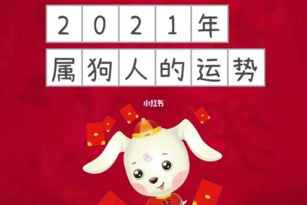 2021年是金牛年，属狗的人命运与运势如何？