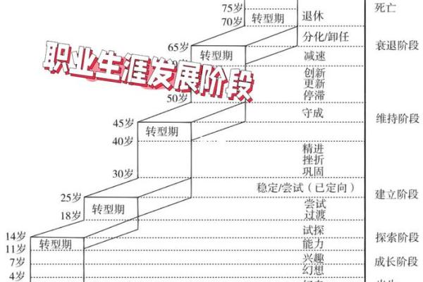 泉水命适合的职业选择与人生发展探讨