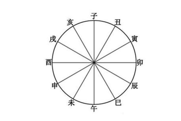 辛丑日丁酉命：解读天干地支中的命运之道与生活启示