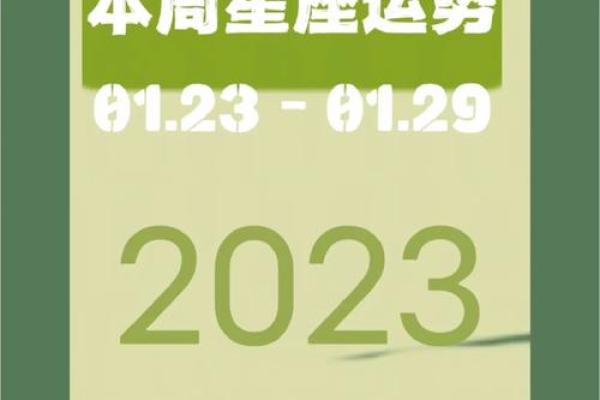 2023：虎年运势与生活智慧的探索之旅