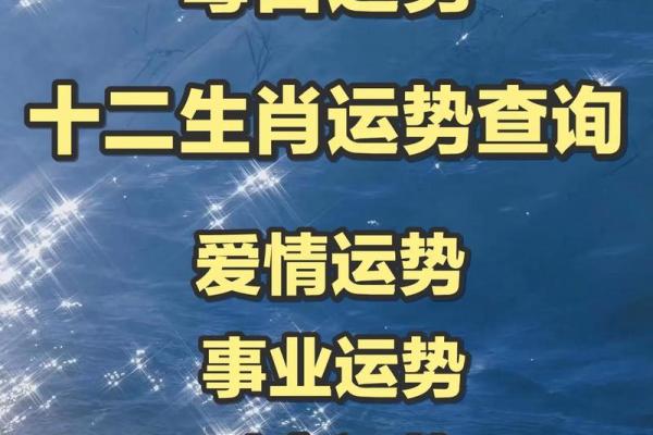 2023：虎年运势与生活智慧的探索之旅