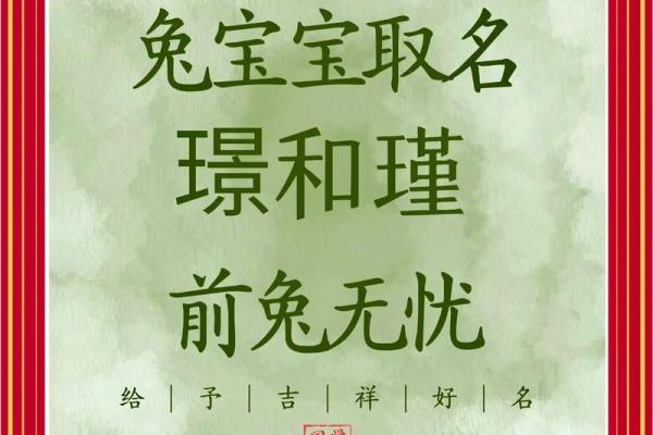 2023年兔宝宝出生命理解析：揭开兔年命运的神秘面纱