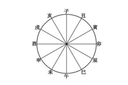 辛丑日丁酉命：解读天干地支中的命运之道与生活启示