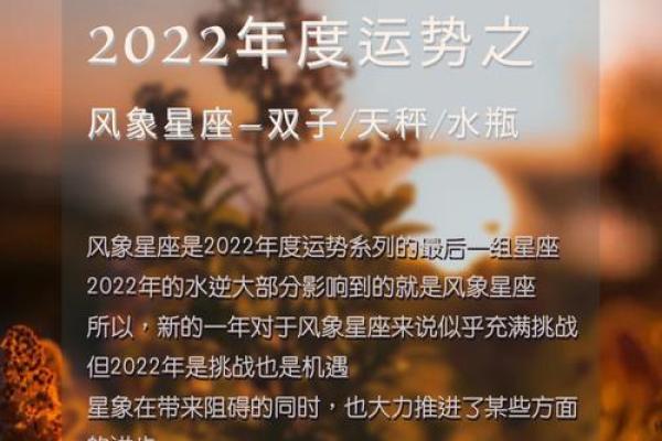 2022年牛年命运解析：星辰指引下的运势与挑战