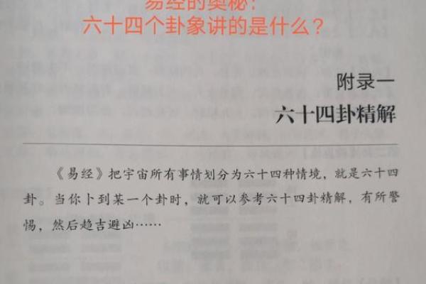 测流年：探寻人生密码，揭示命运走向的奥秘