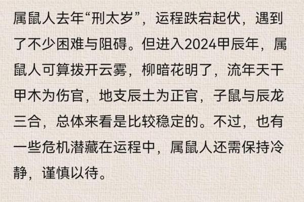 2020年属鼠人的运势解析：木鼠、火鼠、土鼠的不同命格与运势发展