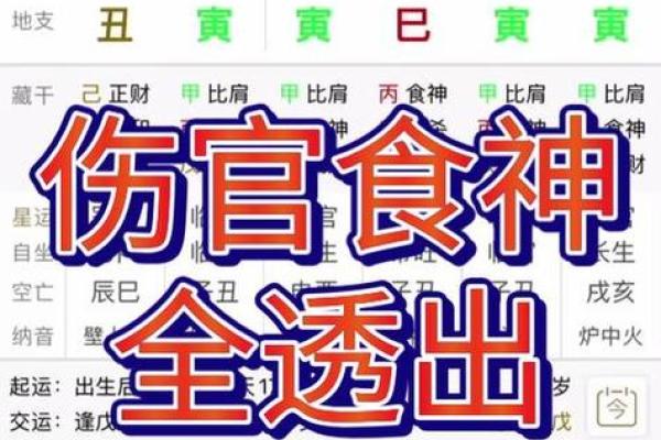 2020年属鼠人的运势解析：木鼠、火鼠、土鼠的不同命格与运势发展