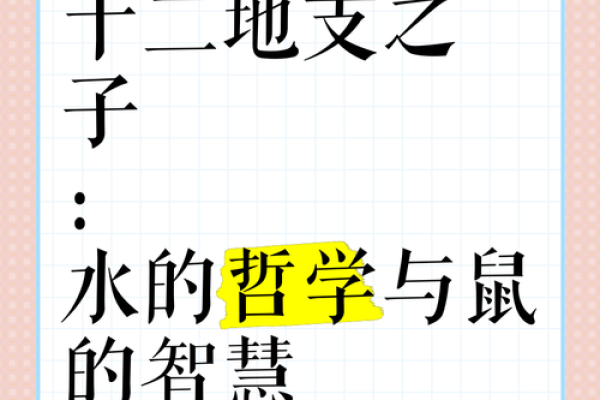 探秘十二地支：从古老智慧中解读命运的奥秘