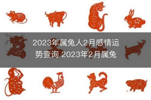 2018年兔年命运解析：解读兔年的生肖及其命理魅力