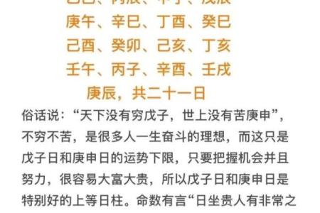 探寻命理之奥秘：甲申、庚午、丁丑、乙巳的命运解析与人生攻略