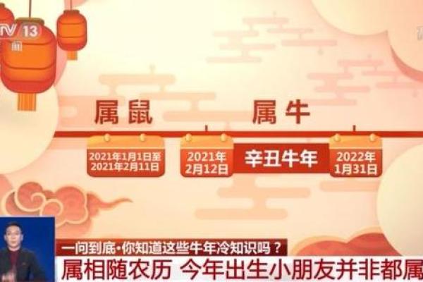 2021年女牛命解析：生肖牛的运势与性格深度分析