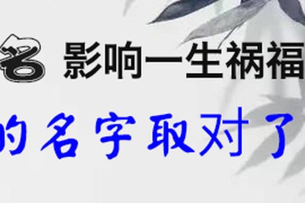 辰时出生女孩的命运解析：揭示她们独特的命格与人生轨迹