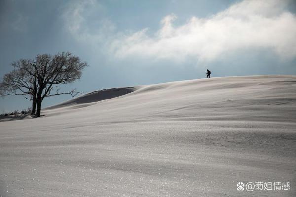 人生波折中的成长与领悟：一场心灵的旅行