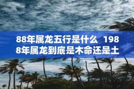 什么年龄的人土命最好？探究土命与年龄的神秘关系