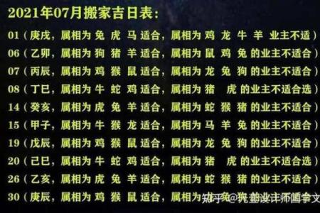 2024年属鼠人的命运解析：如何把握运势，迎接辉煌未来？