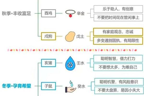 2010年的命运与命理：探索生肖与五行的奇妙联系