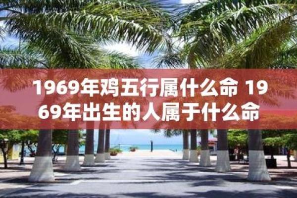 2017年的属相分析：揭秘鸡年命理与个性特征