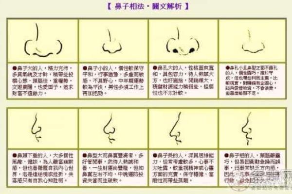 运势解析：如何根据命格找到人生的最佳方向与机遇