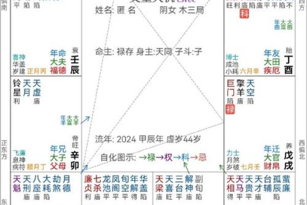 辰时出生的人命运解析：揭示你的天赋与人生道路