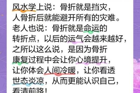 丧偶后的65岁人生：命运的转折与重生的希望