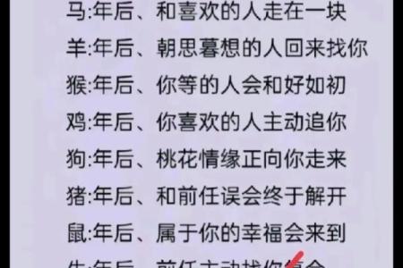 2023年兔年，如何抓住猴年的好运与智慧？