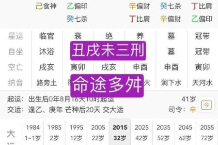 戊子已丑命格解析：如何解读命理中的五行之和与平衡