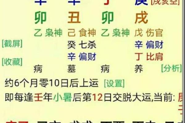 探索命运之谜：初识01年腊月24日的命理解析