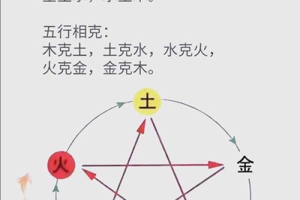 2019年：属于什么命？解读五行与命理的奥秘