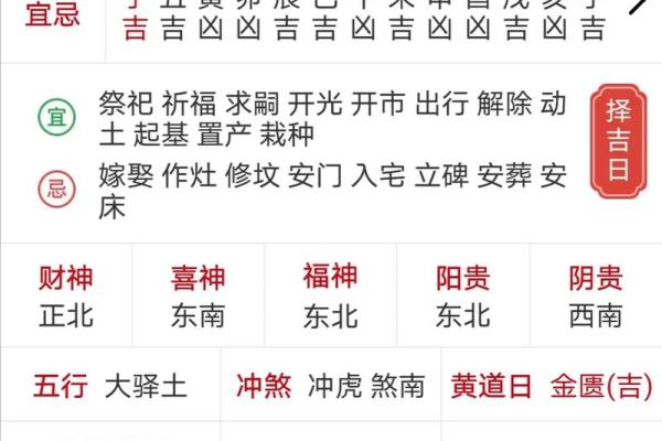 2023年生肖兔：命理解析与生活启示