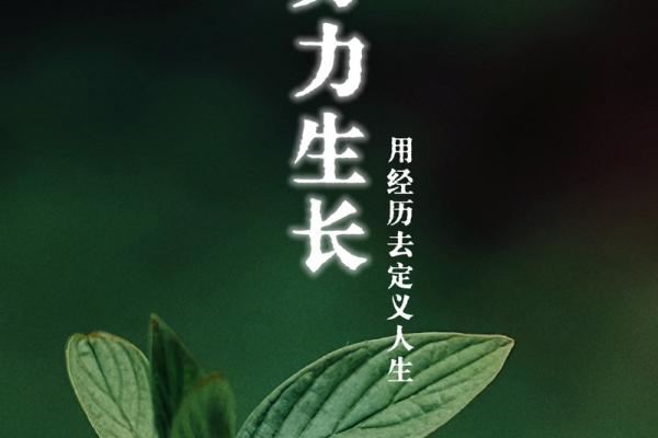 探秘亥时出生的命理特征，揭示人生的无限可能性！