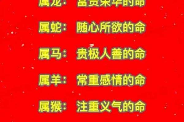 2019年十月的命运：个人成长与机遇探讨