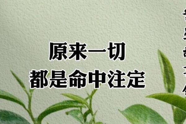 什么是命运？天注定还是掌握在自己手中？