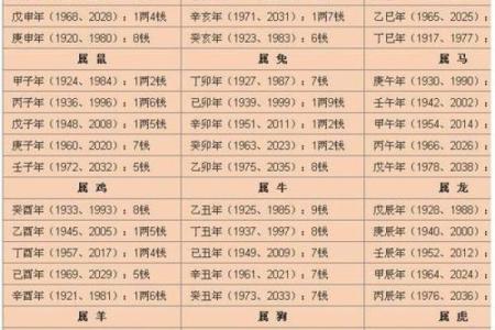 探寻2004年10月21日出生者的命运与性格特征