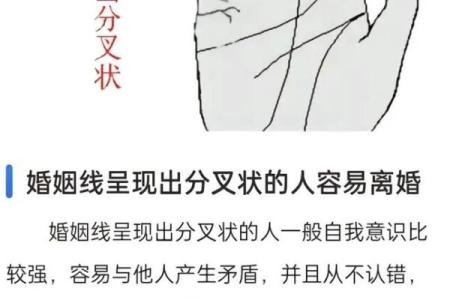 手纹解密：你是如何通过掌纹了解自己的命运与性格的？