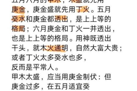 木命属相解析：了解木命人的性格与命理特征