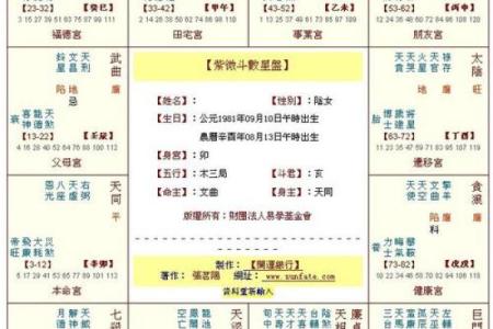 深入了解比肩命格：探索个性与命运的交织之道