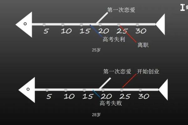 命里带长寿的奥秘：如何提升生命的质量与长度