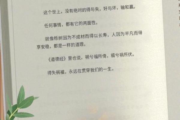 年轻丧父者的命运：在失去中寻找到人生的希望与价值