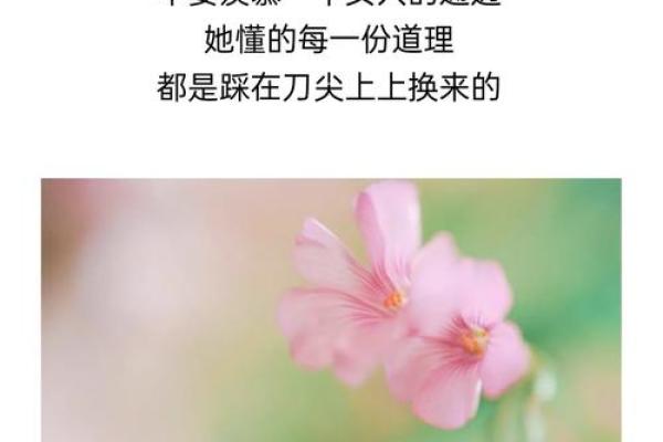 为什么女人都是菜籽命：探索女性命运与爱情的宿命交织