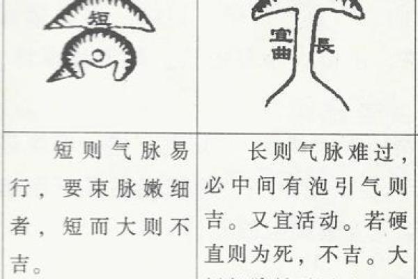 探索右手脉的命理奥秘：从脉象看人生轨迹与性格特征