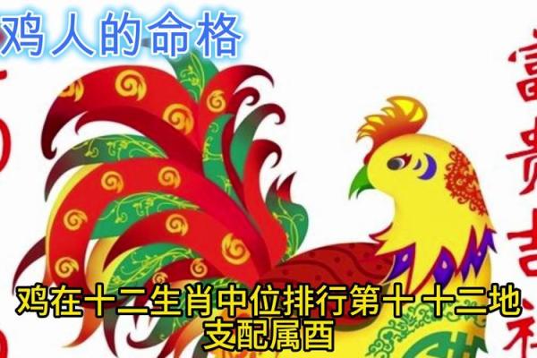 属鸡女人的命运与性格分析：看如何发挥自身优势，创造美好人生