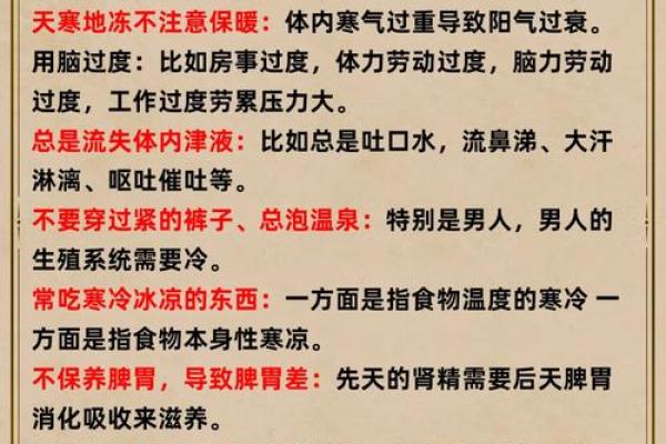 养命之源，生肖秘境：解读生命之源在生肖中的隐喻