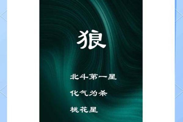 贪狼命格解析：如何掌握命运，提升人生价值！