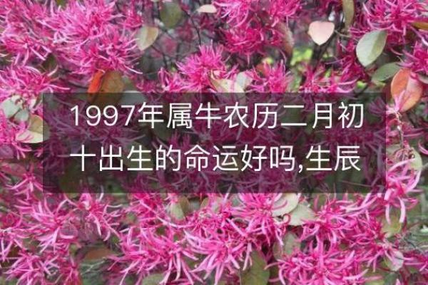 深度解读1997年928出生者的命运与人生路径