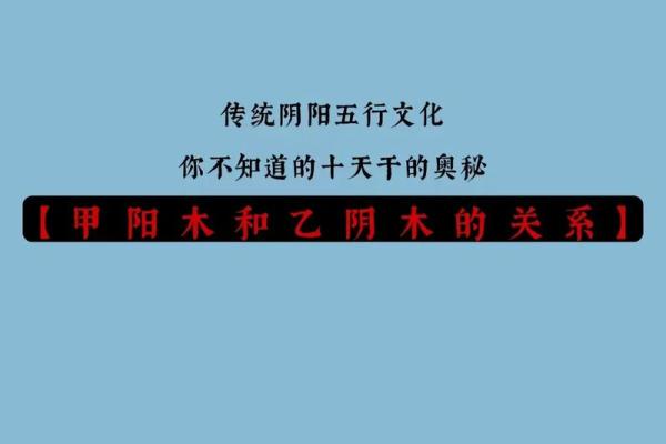 深探乙亥年辛巳月命理奥秘，揭示你的命运之路！