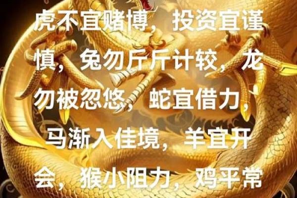 命如薄纸，揭示生肖鼠的命运与性格特征