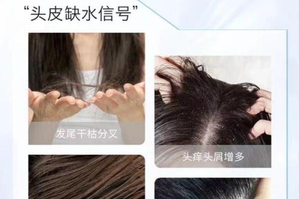 探秘头发细的人生：绽放独特魅力与机会的秘密！