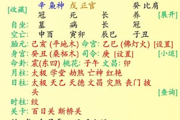 戊辰与己巳命格的深度解析，揭示你命运中的最佳选择